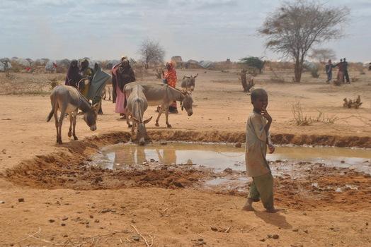 Somalis to learn modern farming from Turkey