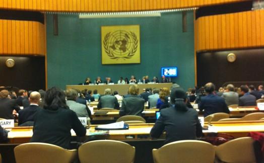 IHH attends UN Syria meeting