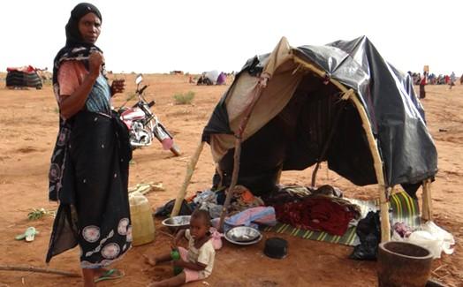 Darfur faced with a big humanitarian crisis