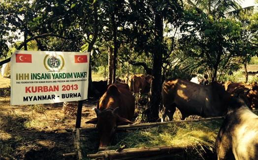 IHH teams have reached their destinations to deliver Qurban meat