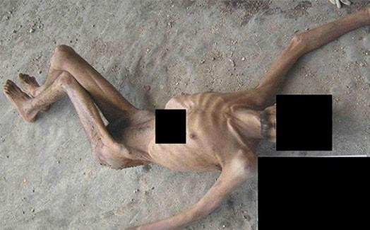Documents of Crimes against Humanity in Syria