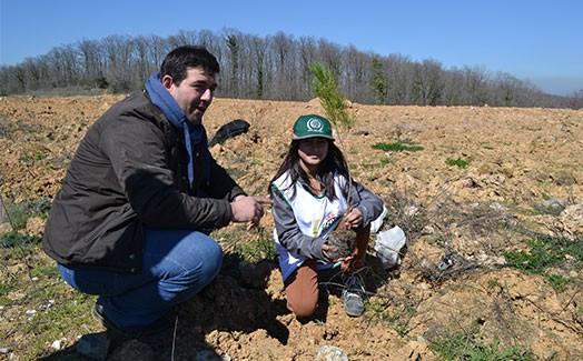 IHH builds a commemorative forest for orphans in Istanbul