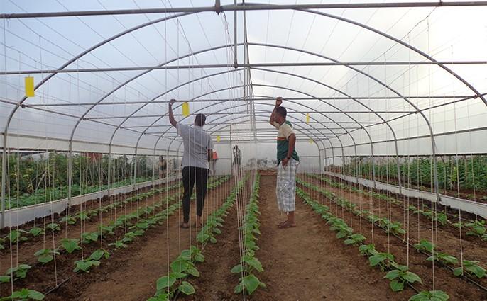 First faculty of agriculture in Somalia