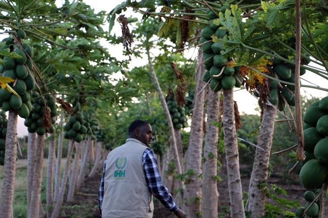 IHH’s Meaningful Help to Ethiopian Orphans’ Families