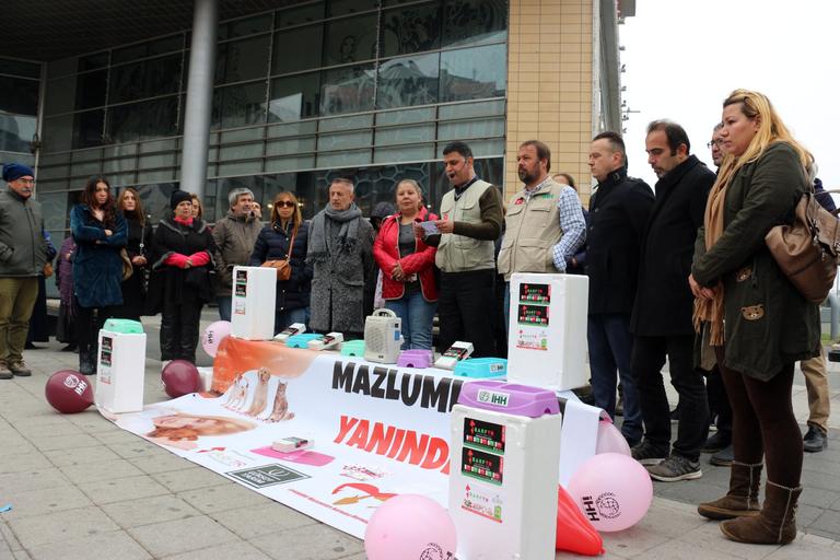 Eskişehir İHH’dan sokak hayvanları için kampanya