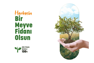 Herkesin Bir Meyve Fidanı Olsun