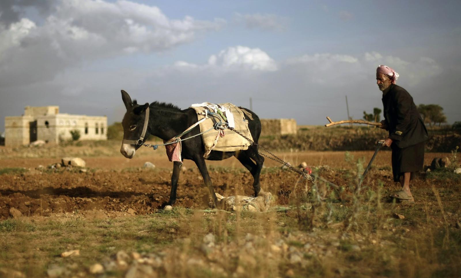 yemen---genel---durum.jpg