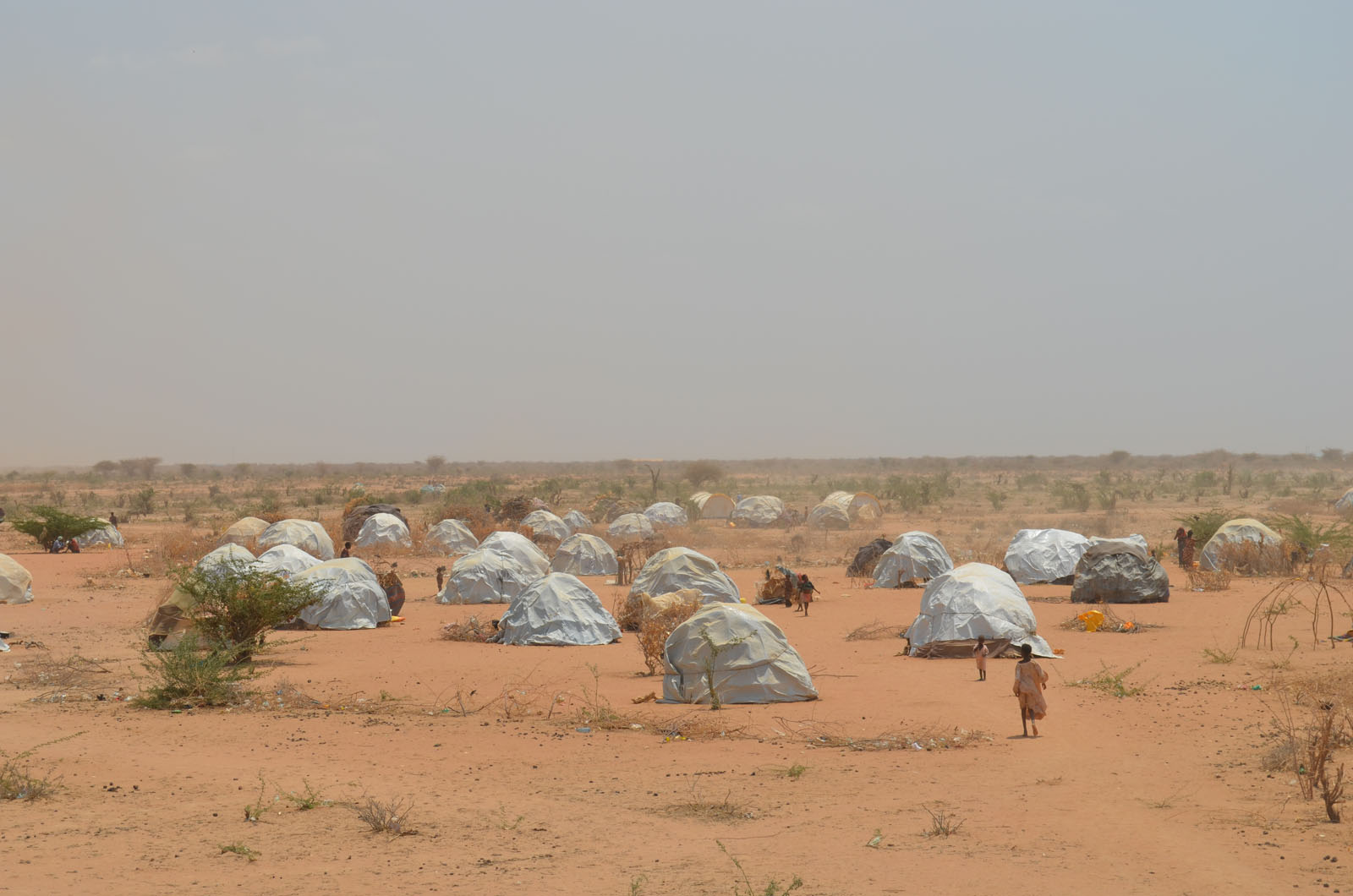 IHH في مواجهة الجفاف في شرق إفريقيا