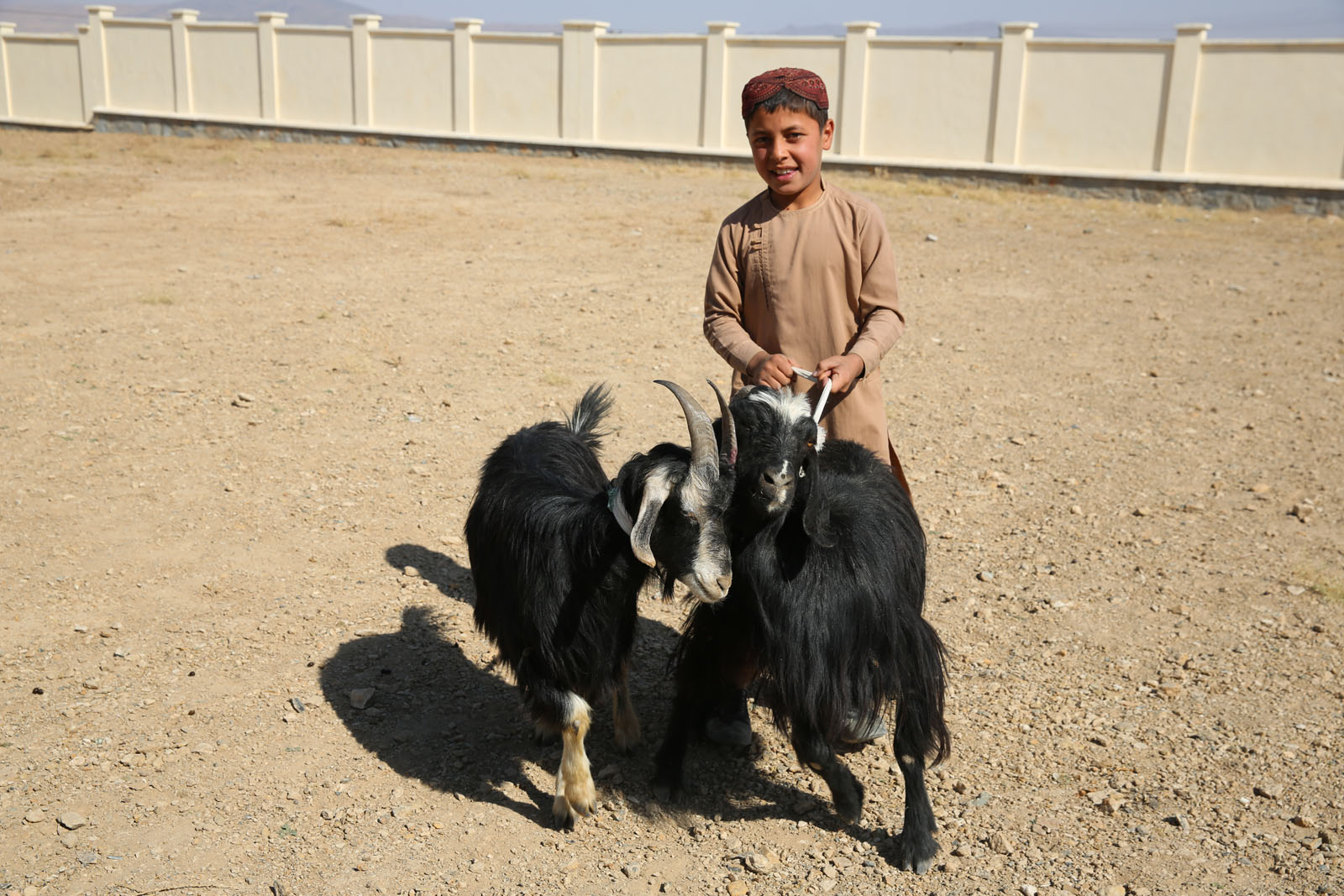 Afghanistan Orphans’ Joy