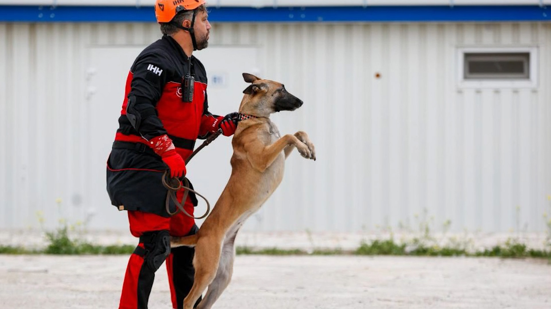İHH’nın arama kurtarma köpekleri 50 kişinin kurtulmasına vesile oldu