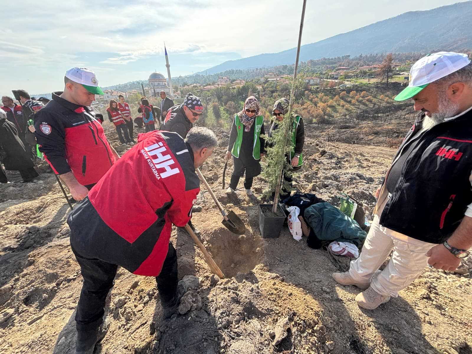 Milli Ağaçlandırma Günü'nde İHH’dan çiftçilere fidan desteği