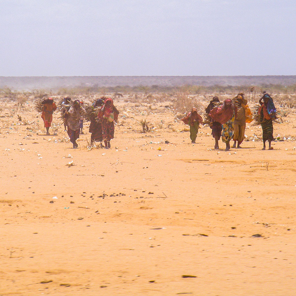 somali-mob.jpg