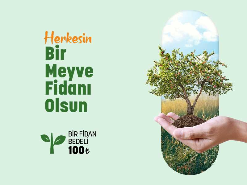 Sudan Donate