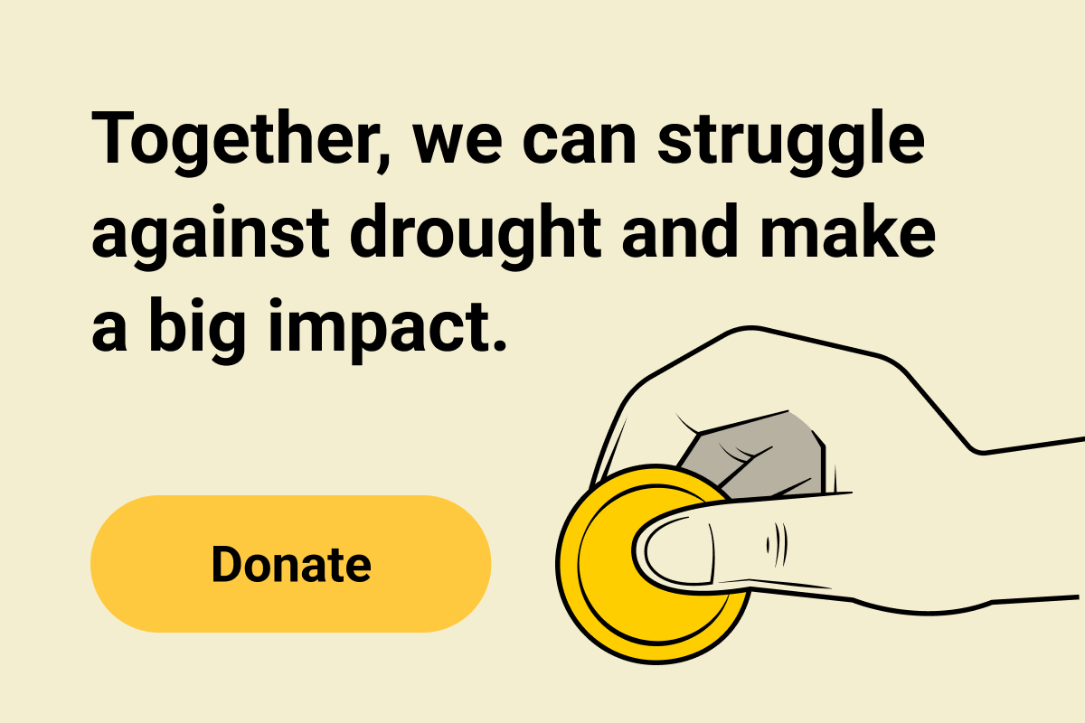 donate-card-short.png