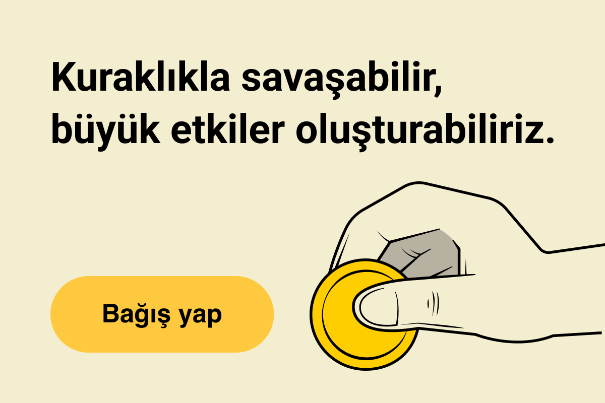 donate-card-short.png