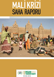 Mali Krizi Saha Raporu - 2013 Ocak