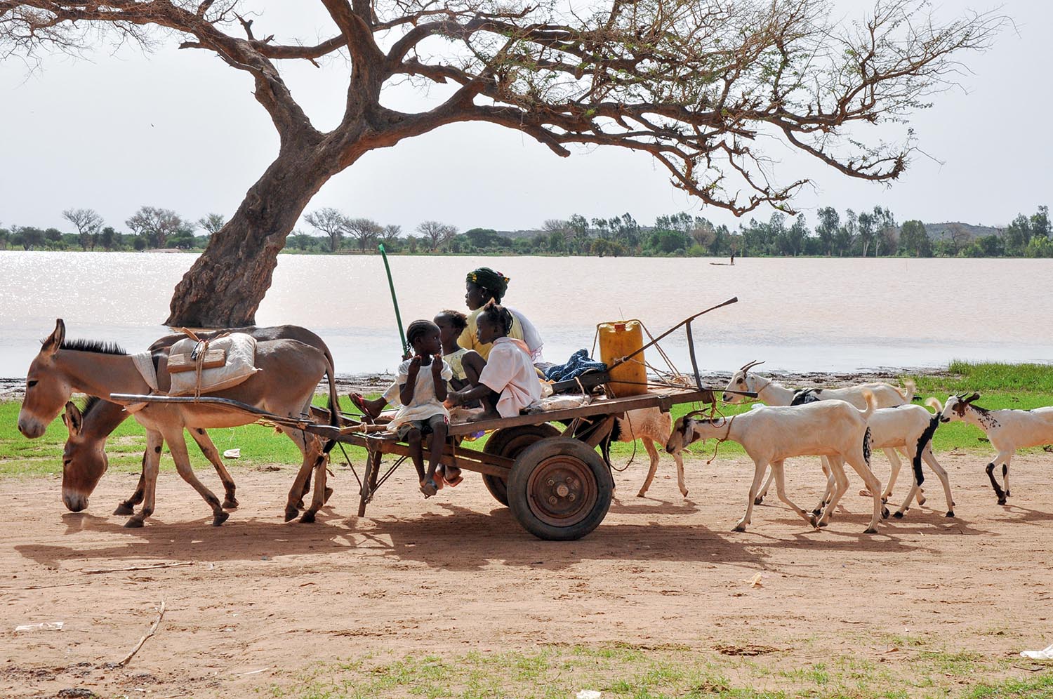 burkina-faso-genel-2013-esek-arabasi-uzerinde-.jpg